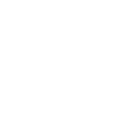 Logo Alien's TI